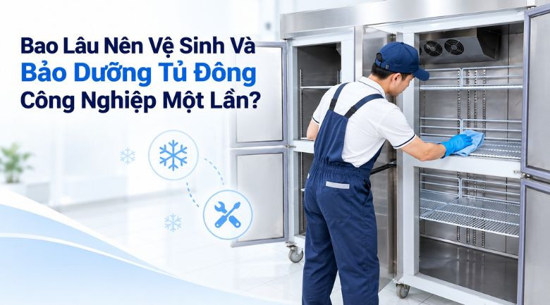 Bao lâu nên vệ tinh và bảo dưỡng tủ đông công nghiệp một lần