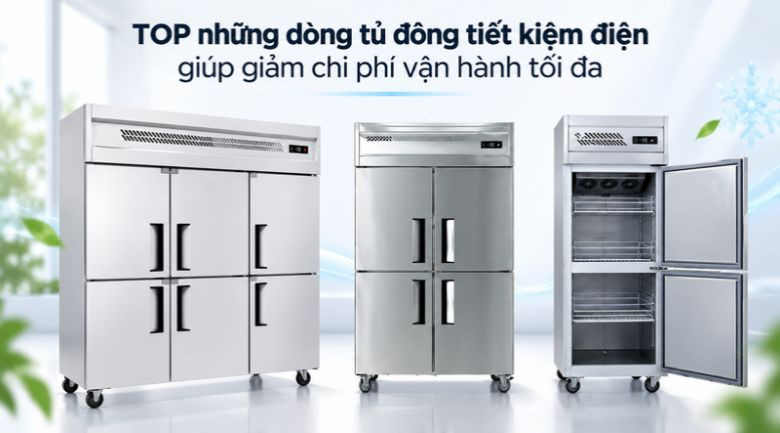 Top những dòng tủ đông tiết kiệm điện