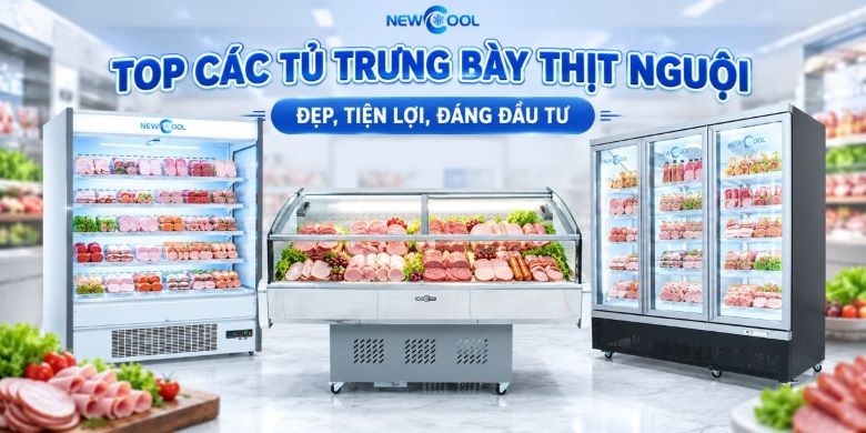 Top 5 tủ trưng bày thịt nguội đẹp, tiện lợi, đáng đầu tư