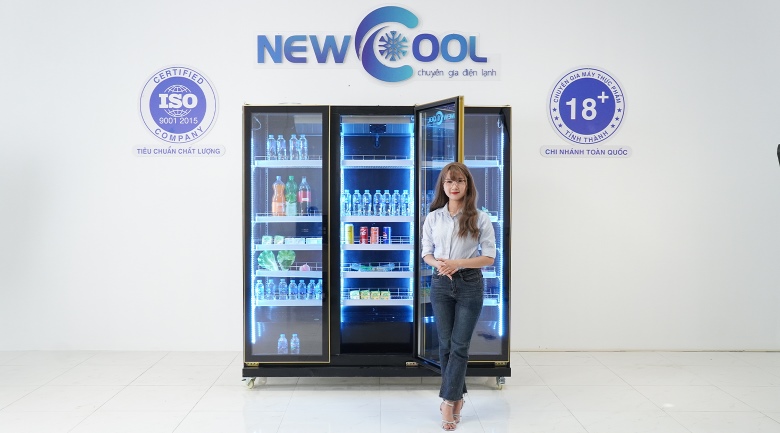 ava2-tu-mat-3-canh-kinh-newcool-luxury-nc-hr-1860pj