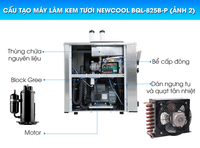 Cấu tạo trong của máy làm kem tươi NEWCOOL BQL-818T