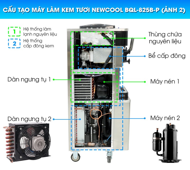 Cấu tạo trong của máy làm kem tươi NEWCOOL BQL-825B-P