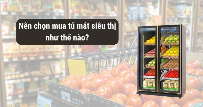 Nên chọn mua tủ mát siêu thị như thế nào? Nên chọn mua tủ mát siêu thị như thế nào?