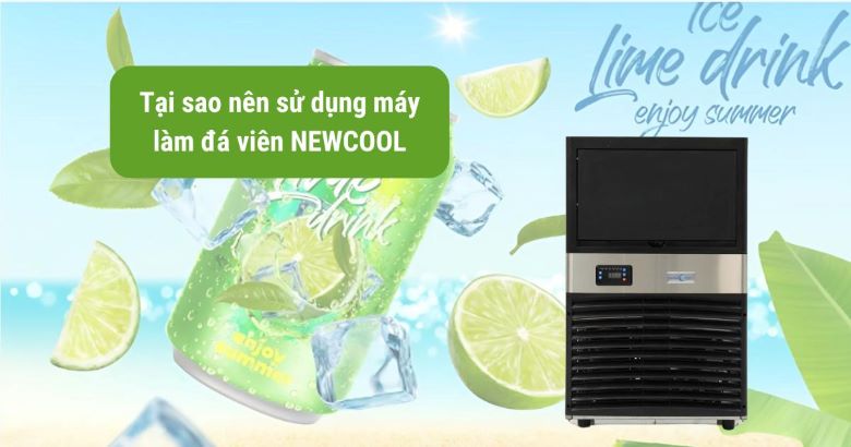 Có nên mua máy làm đá viên NEWCOOL không Có nên mua máy làm đá viên NEWCOOL không