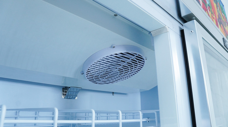 tu-mat-2-canh-kinh-newcool-lg1260-2m-loc-tren-ava2