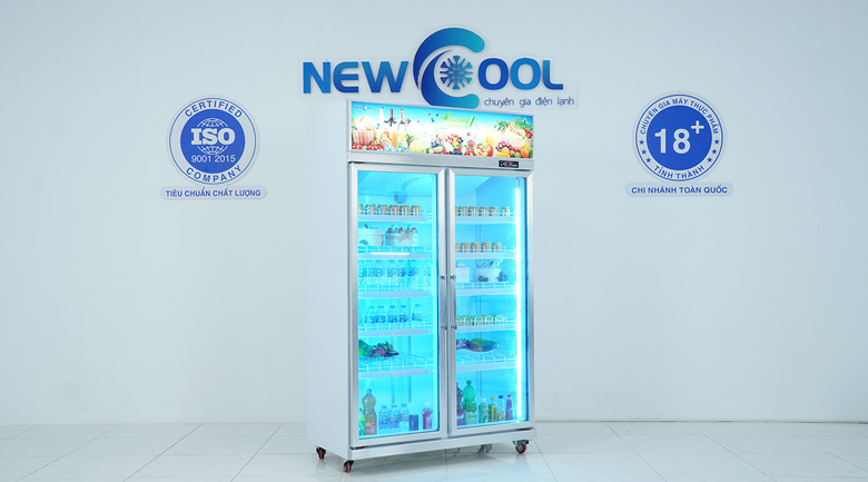 tu-mat-2-canh-kinh-newcool-lg1260-2m-loc-tren-ava4