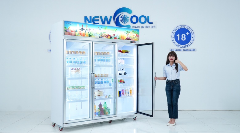 NEWCOOL - Địa chỉ cung cấp tủ mát cho chuỗi minimart chính hãng