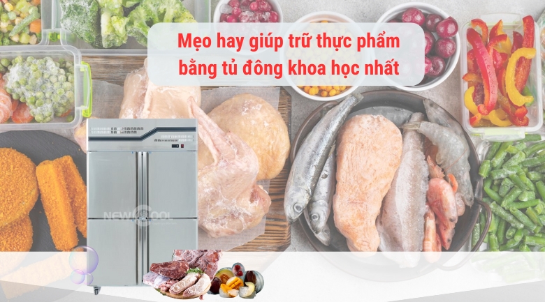 Mẹo hay trữ thực phẩm tươi ngon bằng tủ đông đúng cách