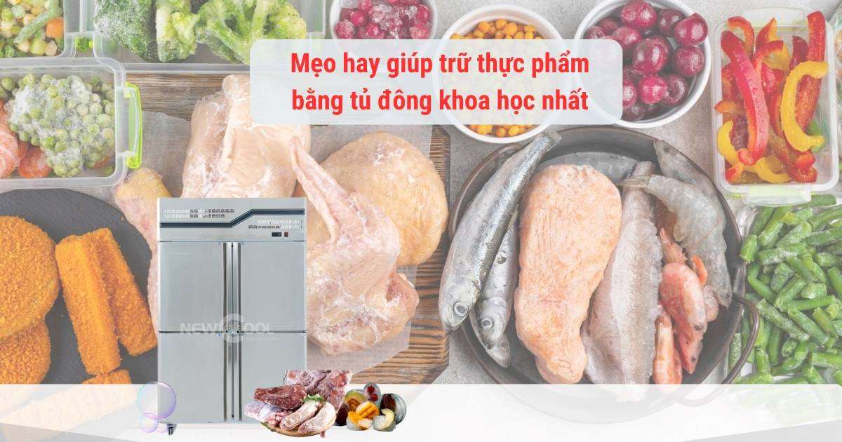 Mẹo hay giúp trữ thực phẩm bằng tủ đông khoa học nhất