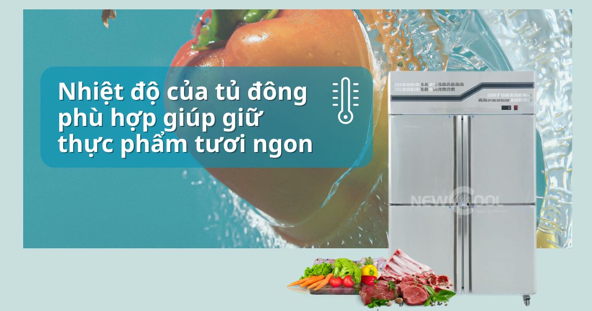 Nhiệt độ của tủ đông phù hợp giúp giữ thực phẩm tươi ngon