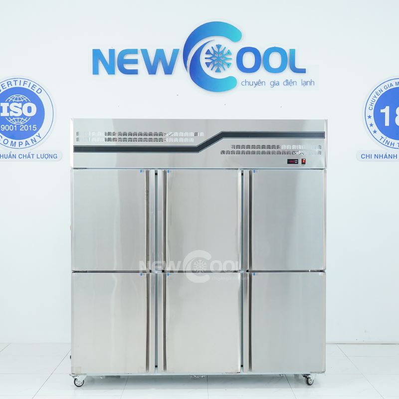 Tủ đông đứng 6 cánh NEWCOOL có quạt gió