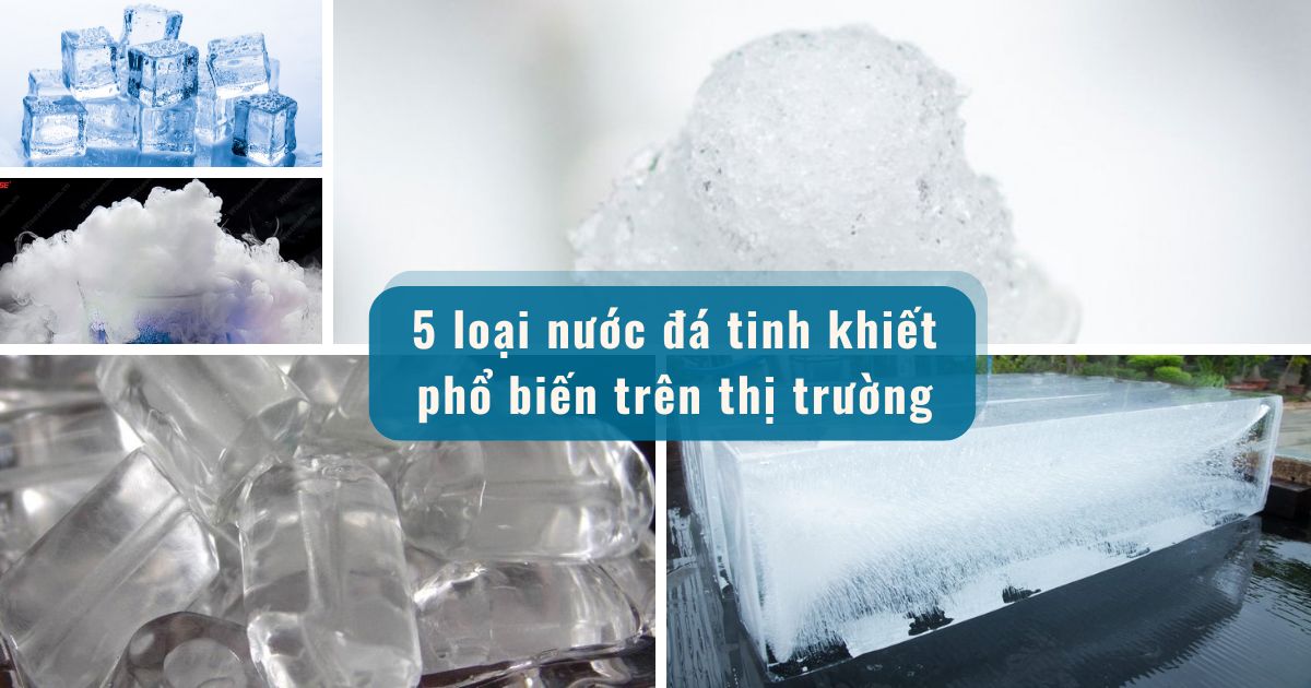 Tổng hợp 5 loại nước đá tinh khiết phổ biến nhất hiện nay