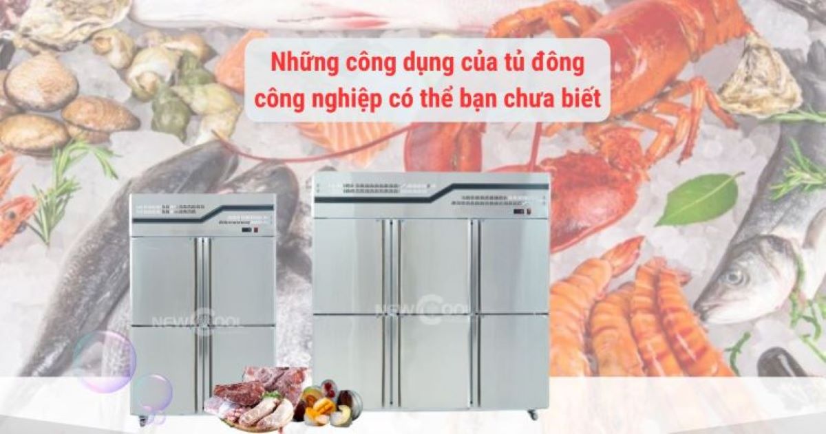 Những công dụng của tủ đông công nghiệp có thể bạn chưa biết
