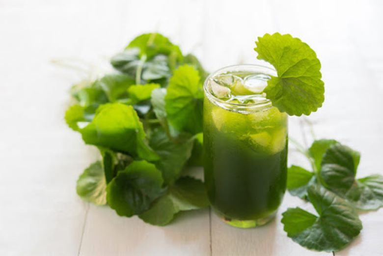 Nước ép rau má thơm ngon, giúp giải nhiệt hiệu quả