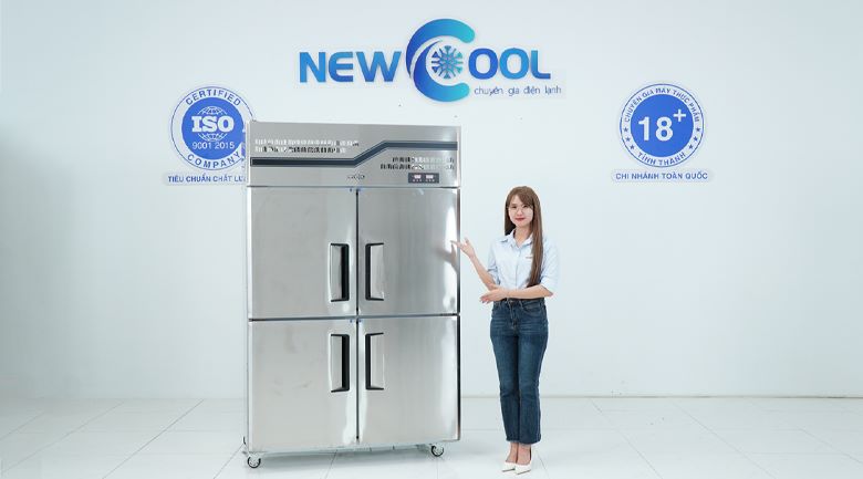 Tủ đông đứng NEWCOOL