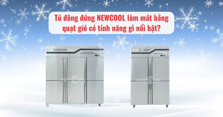 Tủ đông đứng NEWCOOL làm mát bằng quạt gió có tính năng gì nổi bật