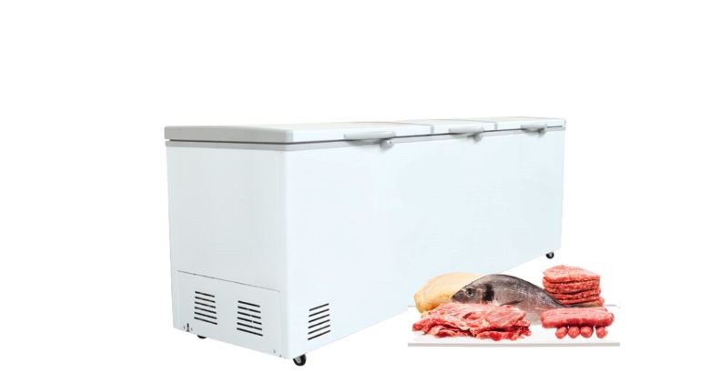 Tủ đông nằm có dung tích lớn
