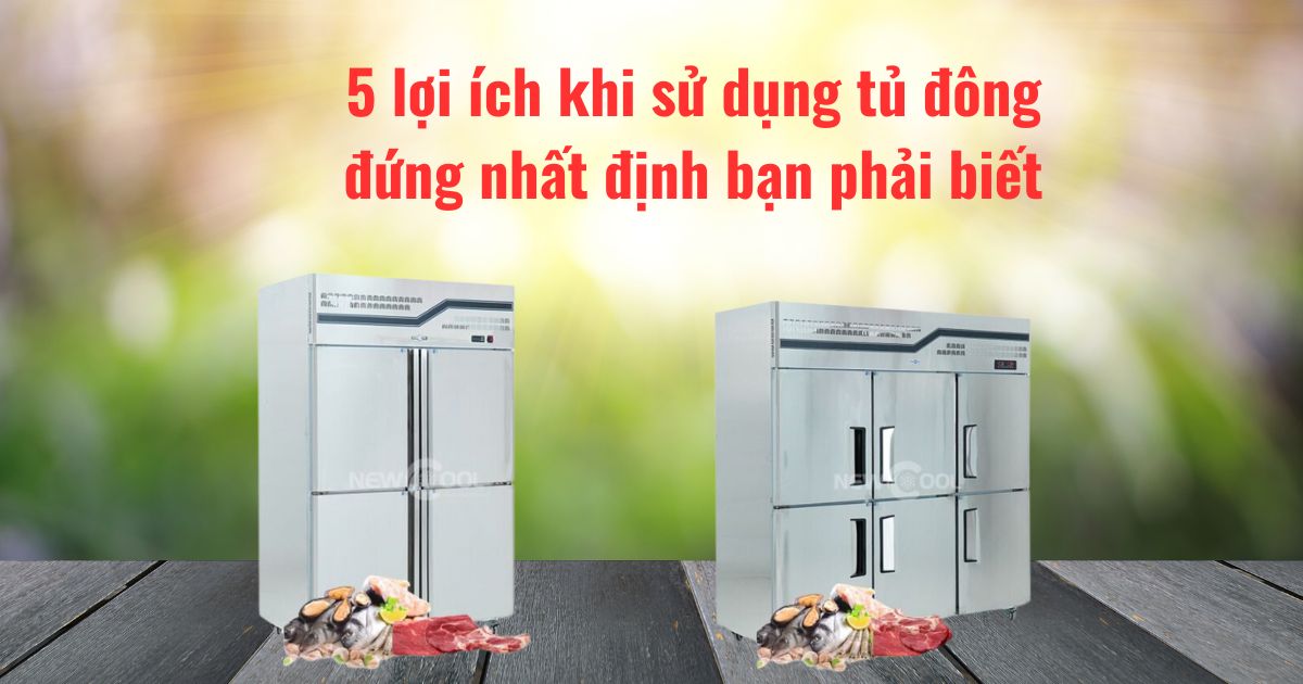 5 lợi ích khi sử dụng tủ đông đứng nhất định bạn phải biết