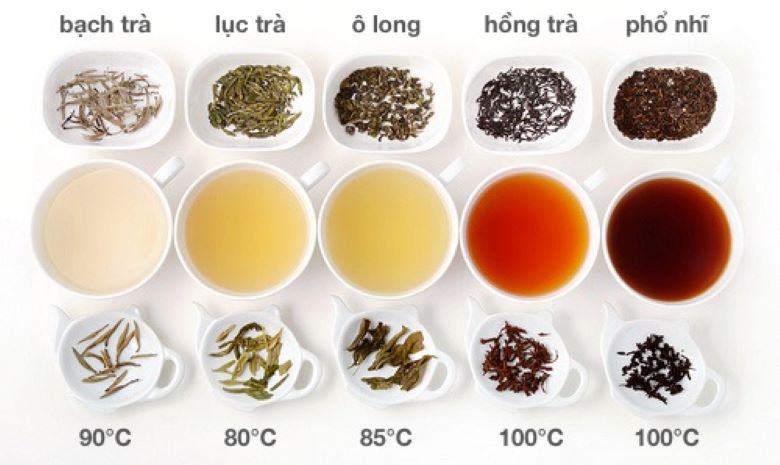Các loại trà phổ biến dùng để làm trà sữa