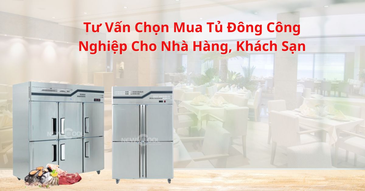 Tư Vấn Mua Tủ Đông Công Nghiệp Cho Nhà Hàng, Khách Sạn