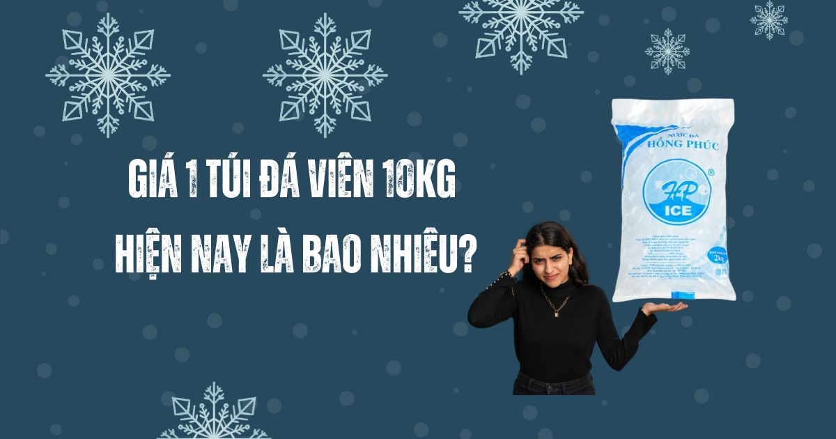 Giá 1 túi đá viên 10kg hiện nay là bao nhiêu?