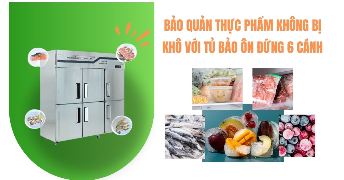 Bảo quản thực phẩm không bị khô với tủ bảo ôn đứng 6 cánh