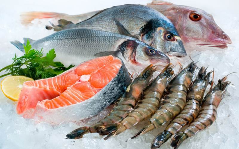 Tủ đông đứng phù hợp để bảo quản các loại thịt, hải sản dài ngày