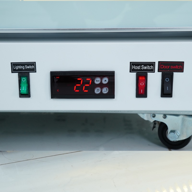 Tủ mát cánh kính Luxury TMLT-2CK - 6