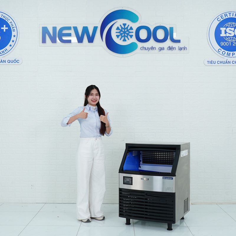 Máy làm đá viên cao cấp SK-280P - 0