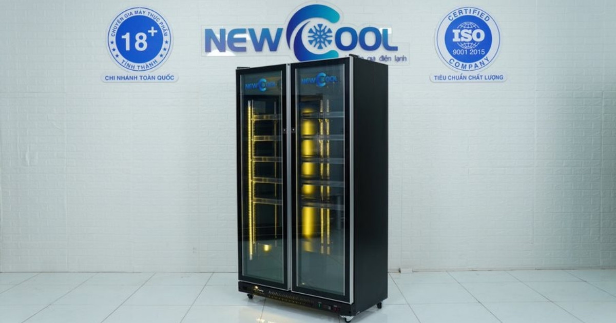 Đánh giá tủ mát 2 cánh kính NEWCOOL Luxury ra mắt tháng 12/2024