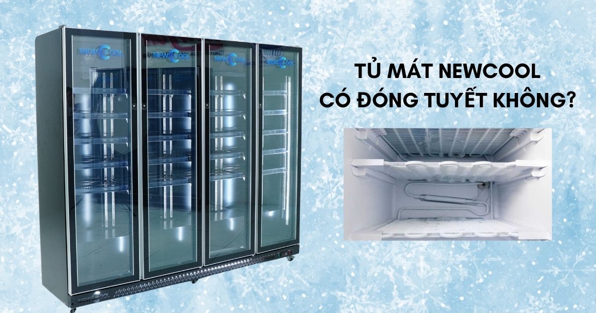 Tủ mát cánh kính NEWCOOL có đóng tuyết không?
