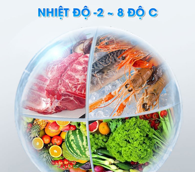 Nhiệt độ cài đặt trong khoảng từ -2 đến 8 độ C Nhiệt độ cài đặt trong khoảng từ -2 đến 8 độ C