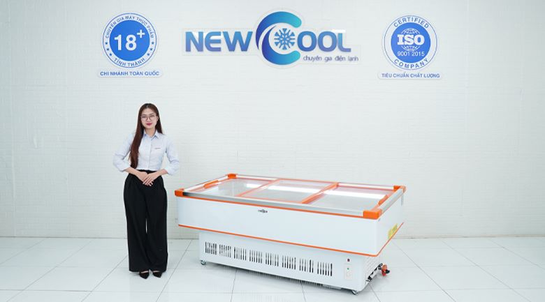 Hình ảnh thực tế tủ đông nằm kính phẳng 2m DLCD-2 NEWCOOL