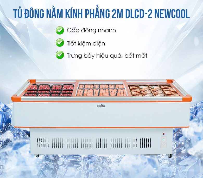 Tủ đông nằm kính phẳng 2m DLCD-2 NEWCOOL