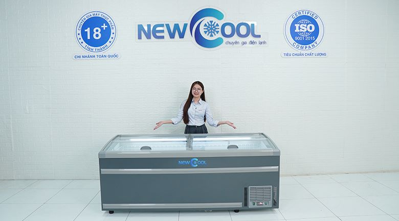 Hình ảnh thực tế của tủ đông nằm trưng bày thực phẩm 2m1 SW-2100D