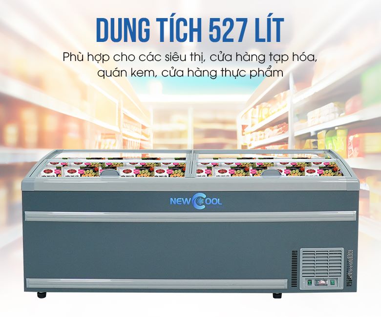 Dung tích 527 lít phù hợp với các siêu thị, cửa hàng tạp hóa, quán kem