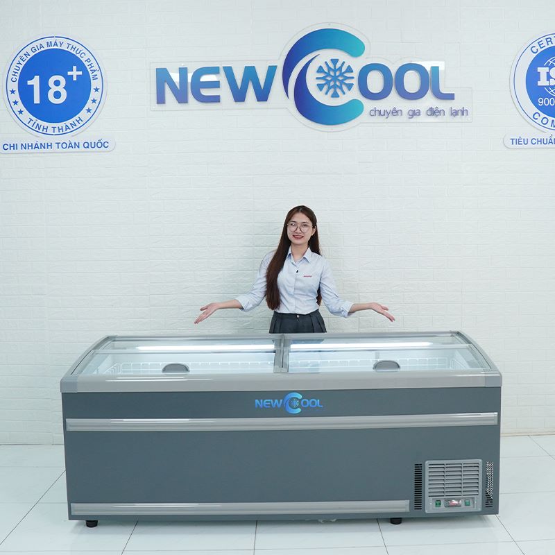 Tủ đông nằm trưng bày thực phẩm 2m1 SWD-2100D - 4