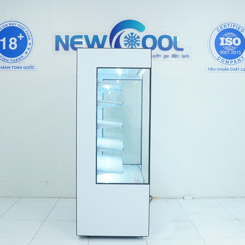 Tủ mát trưng bày siêu thị 1m3 SLG-1250FPX - 2