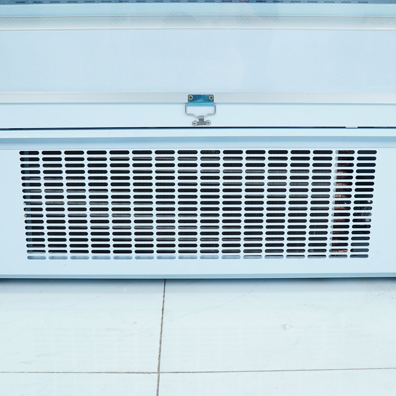 Tủ mát trưng bày siêu thị 1m3 SLG-1250FPX - 6