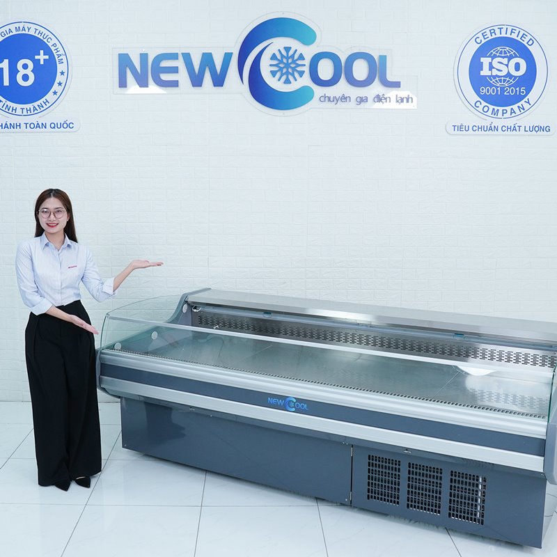 Tủ mát trưng bày thịt cá tươi SXG-2500F (không cửa) - 0