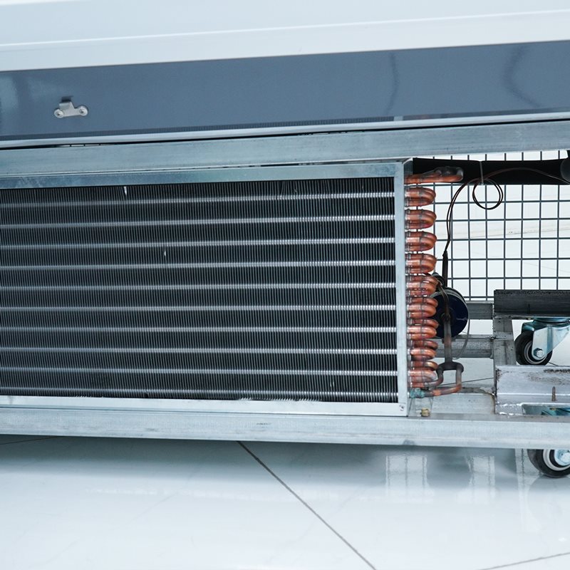 Tủ mát trưng bày thịt cá tươi SXG-2500F (không cửa) - 3