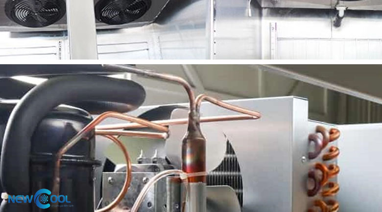 hướng dẫn sửa tủ đông công nghiệp, bảo dưỡng