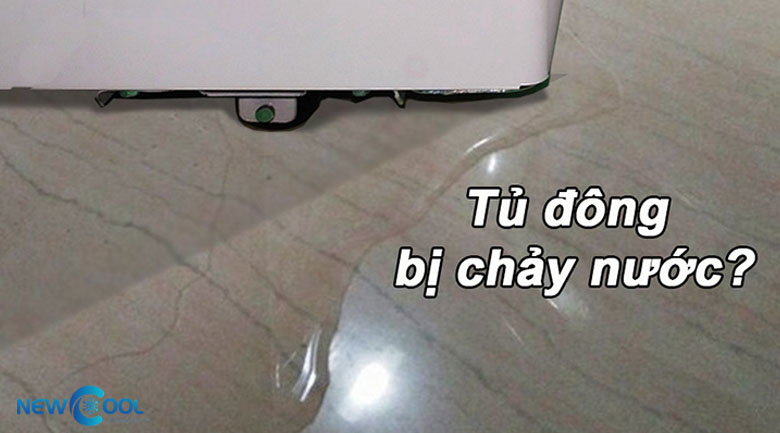 hướng dẫn sửa tủ đông công nghiệp, rò nước