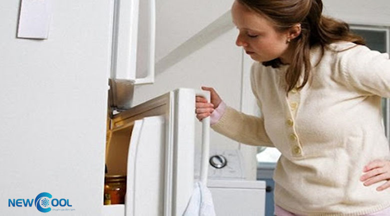 Tự sửa tủ lạnh tại nhà, kiểm tra gioăng tủ lạnh