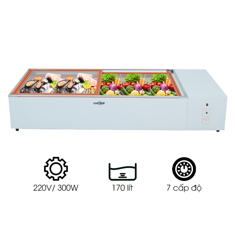 Tủ đông mát 1m8 kính phẳng WG4-170A