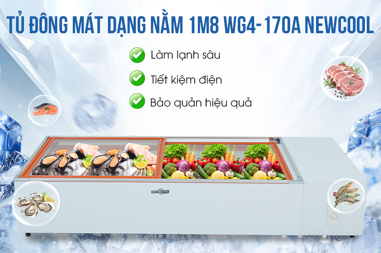 Hình ảnh tủ đông mát dạng nằm kính phẳng 1m8 NC-WG4-170A 