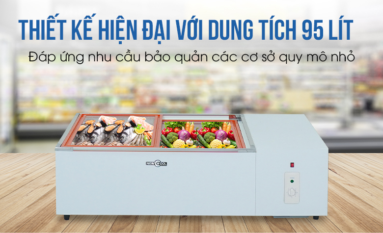 Dung tích tủ phù hợp cho nhiều cơ sở kinh doanh nhỏ