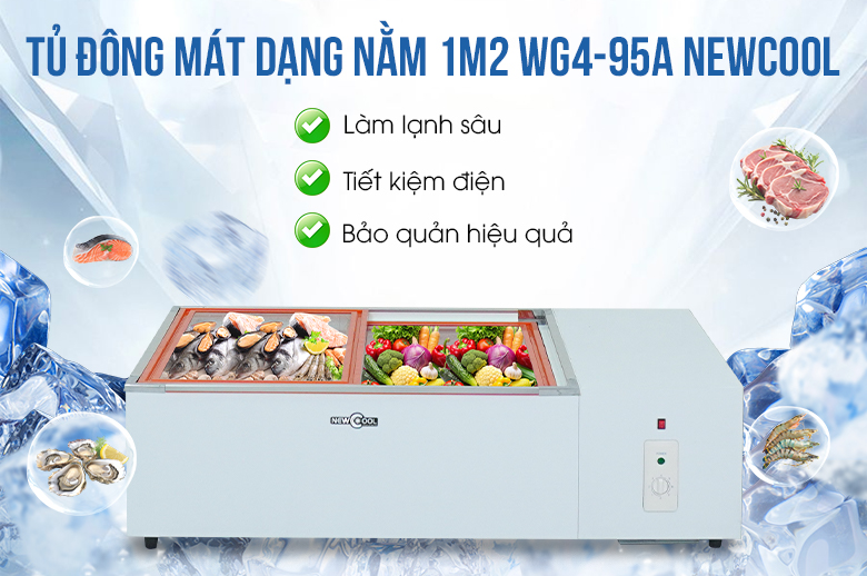 Hình ảnh tủ đông mát 1m2 kính phẳng