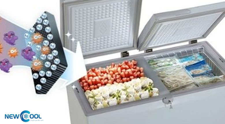 tủ đông có chức năng kháng khuẩn không, Plasma