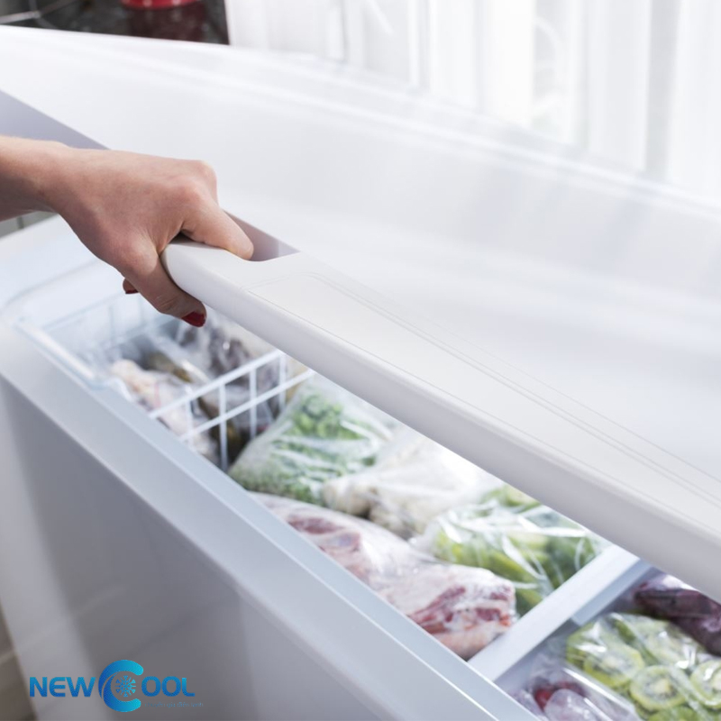 Tủ đông có chức năng kháng mùi không? Mẹo khử mùi tủ đông